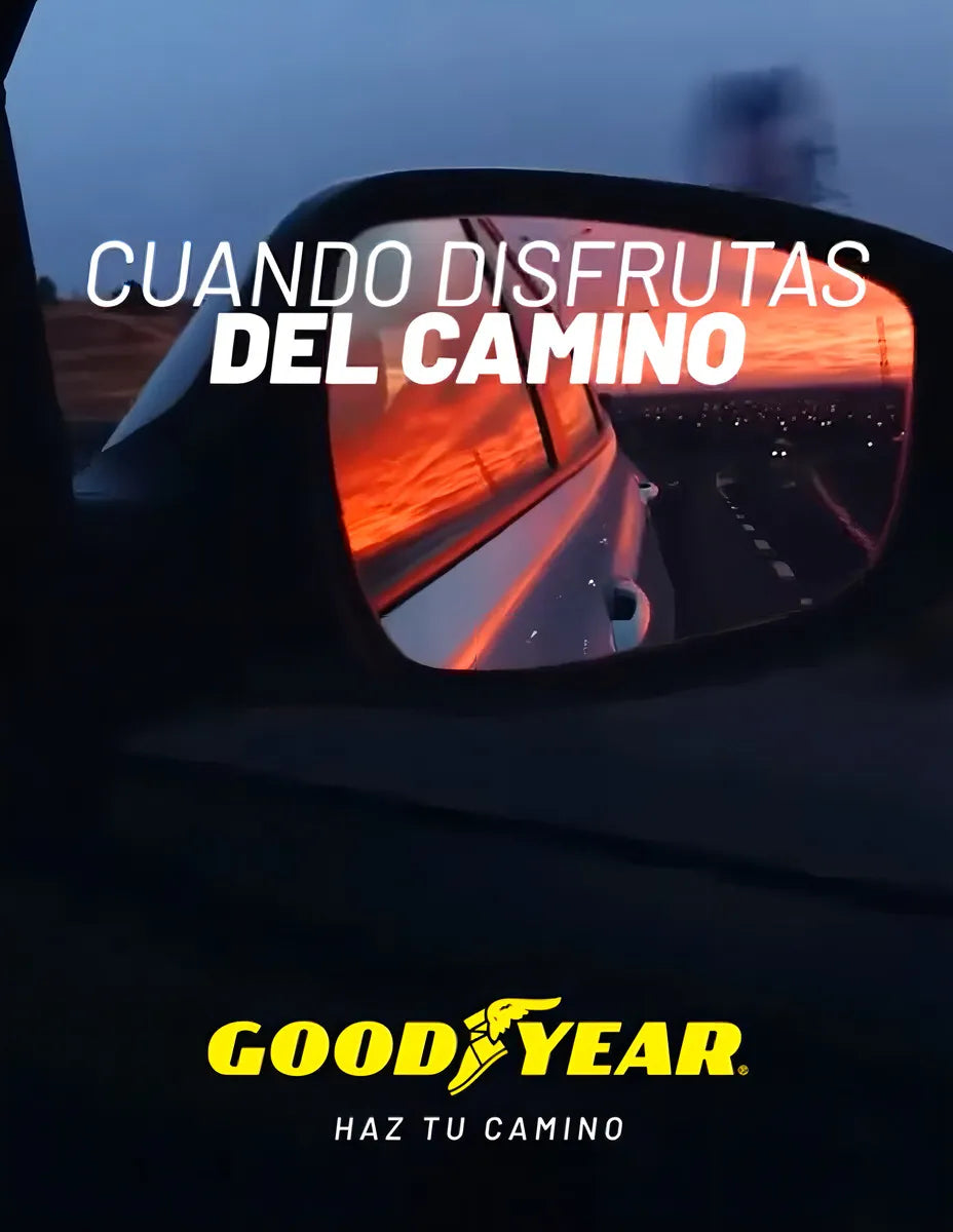 185 60 R15 Goodyear DP-V1