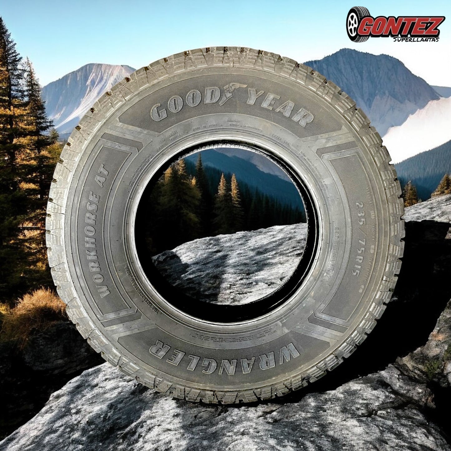 235 75 R15 Goodyear Workhorse