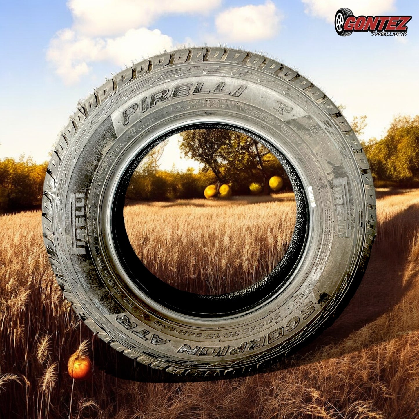 205 65 R15 Pirelli Scorpion ATR