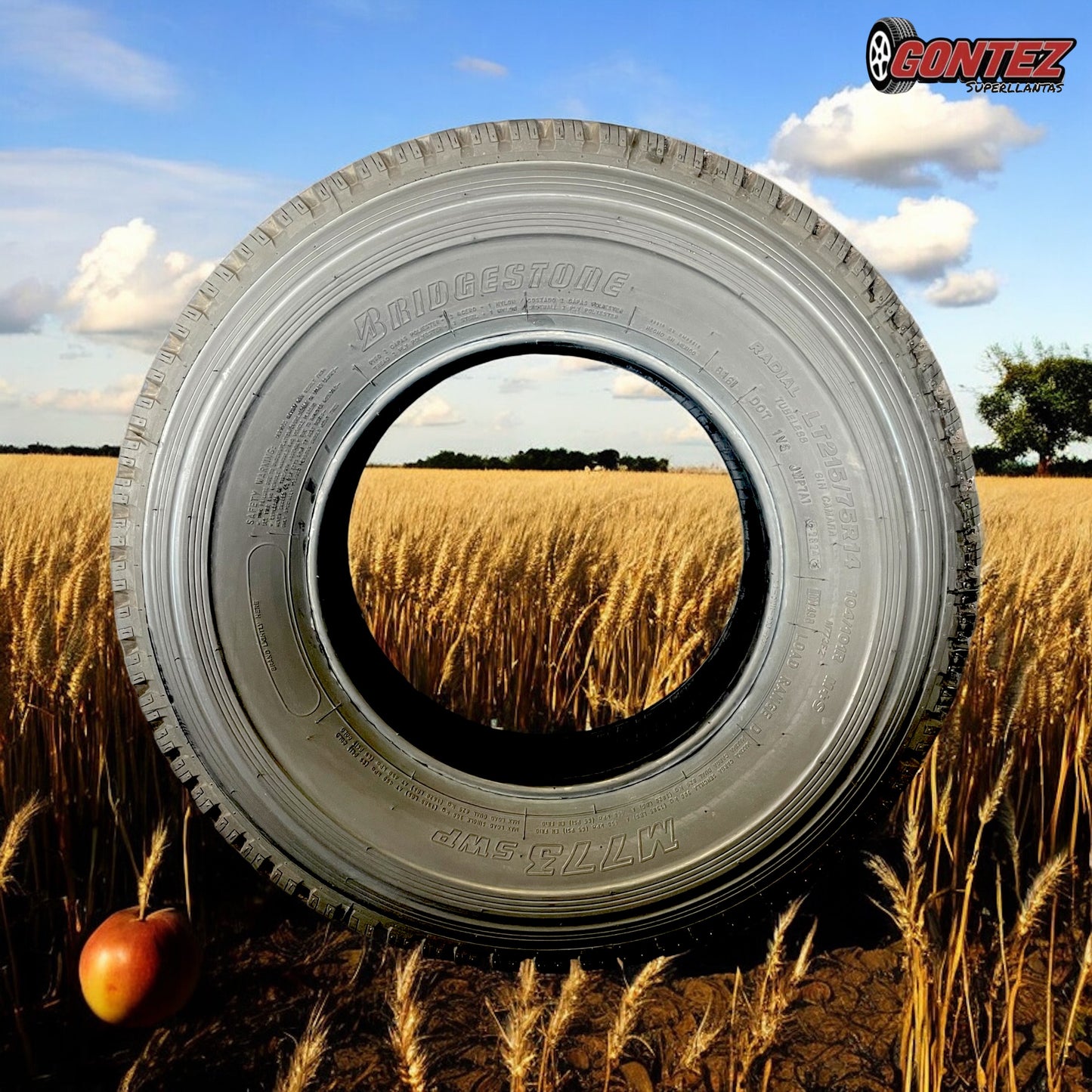 215 75 R14 Bridgestone M773