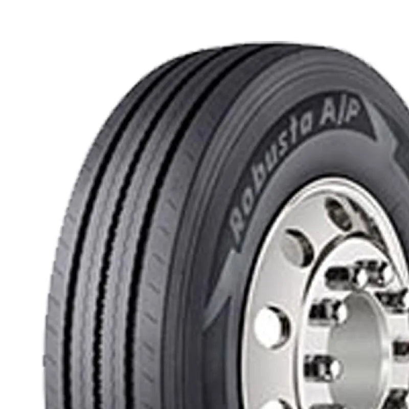 11 R22.5 Euzkadi Robusta AP