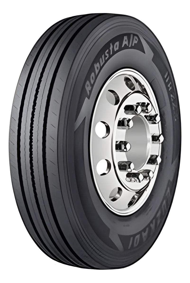 11 R22.5 Euzkadi Robusta AP