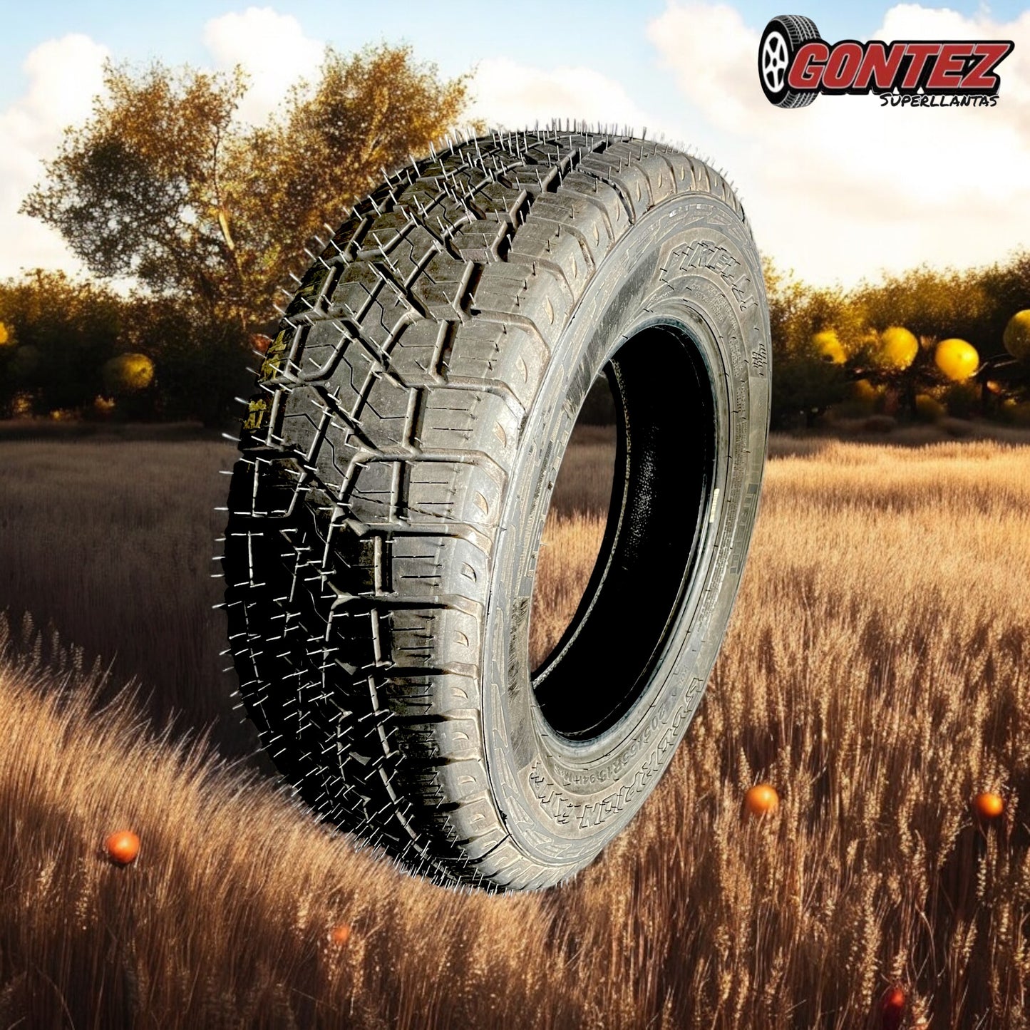 205 65 R15 Pirelli Scorpion ATR