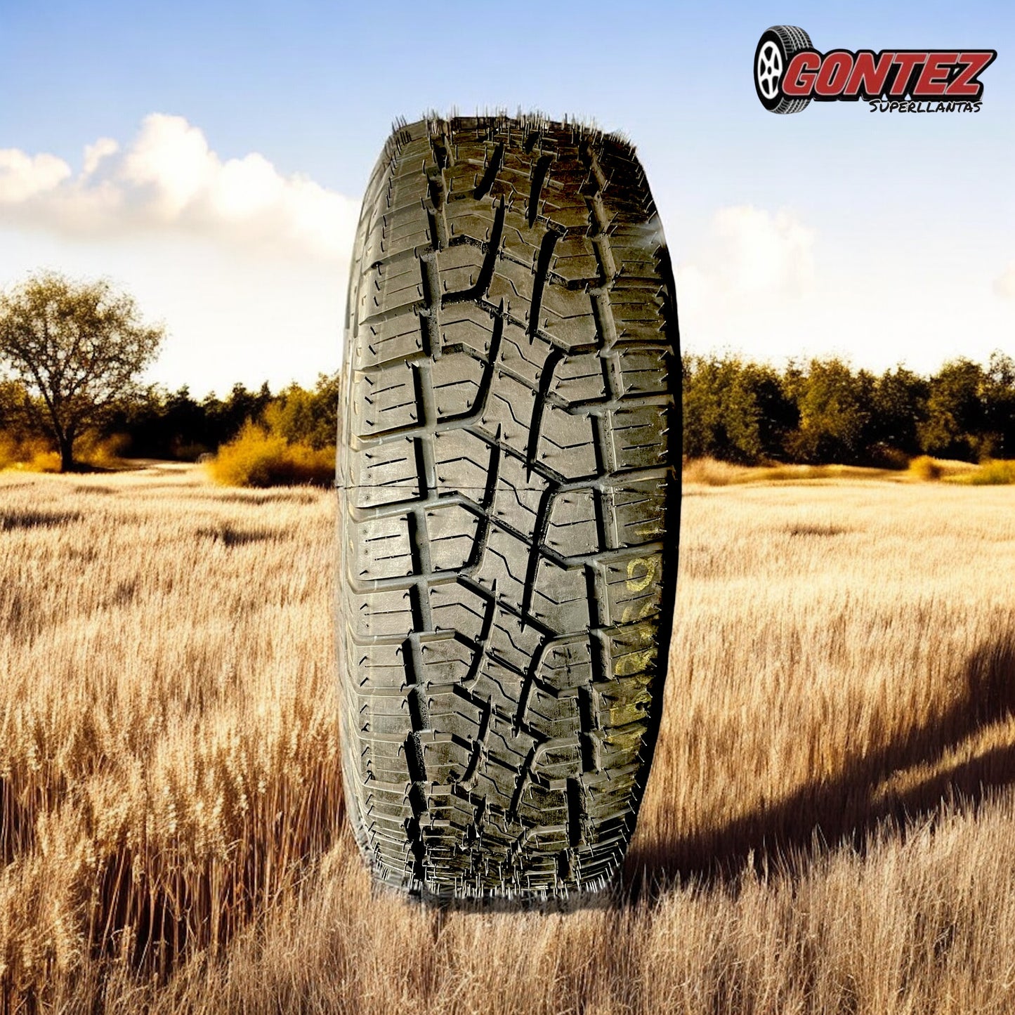 205 65 R15 Pirelli Scorpion ATR