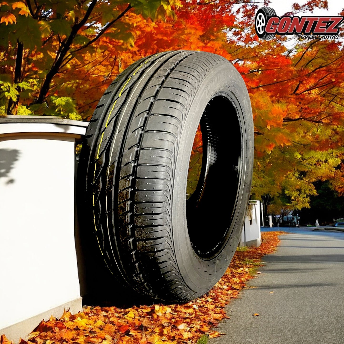 215 55 R17 Bridgestone Turanza ER300