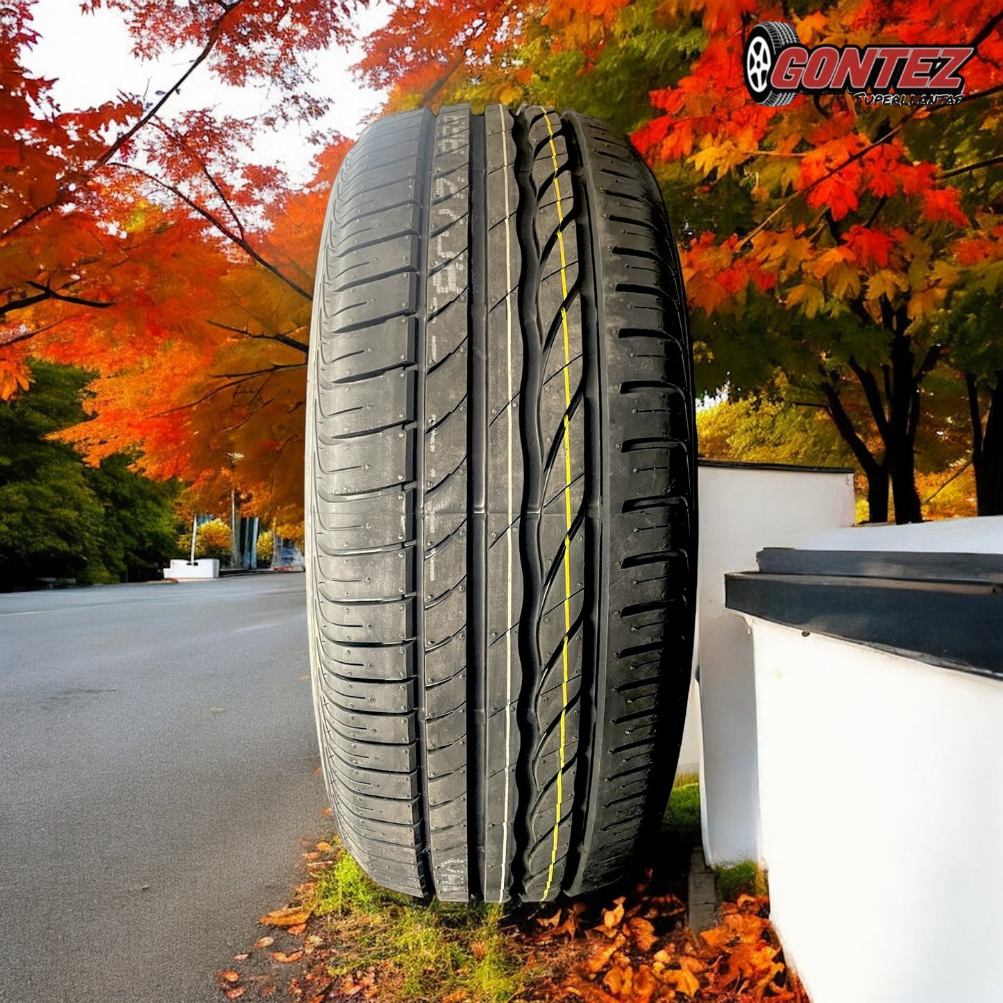 215 55 R17 Bridgestone Turanza ER300
