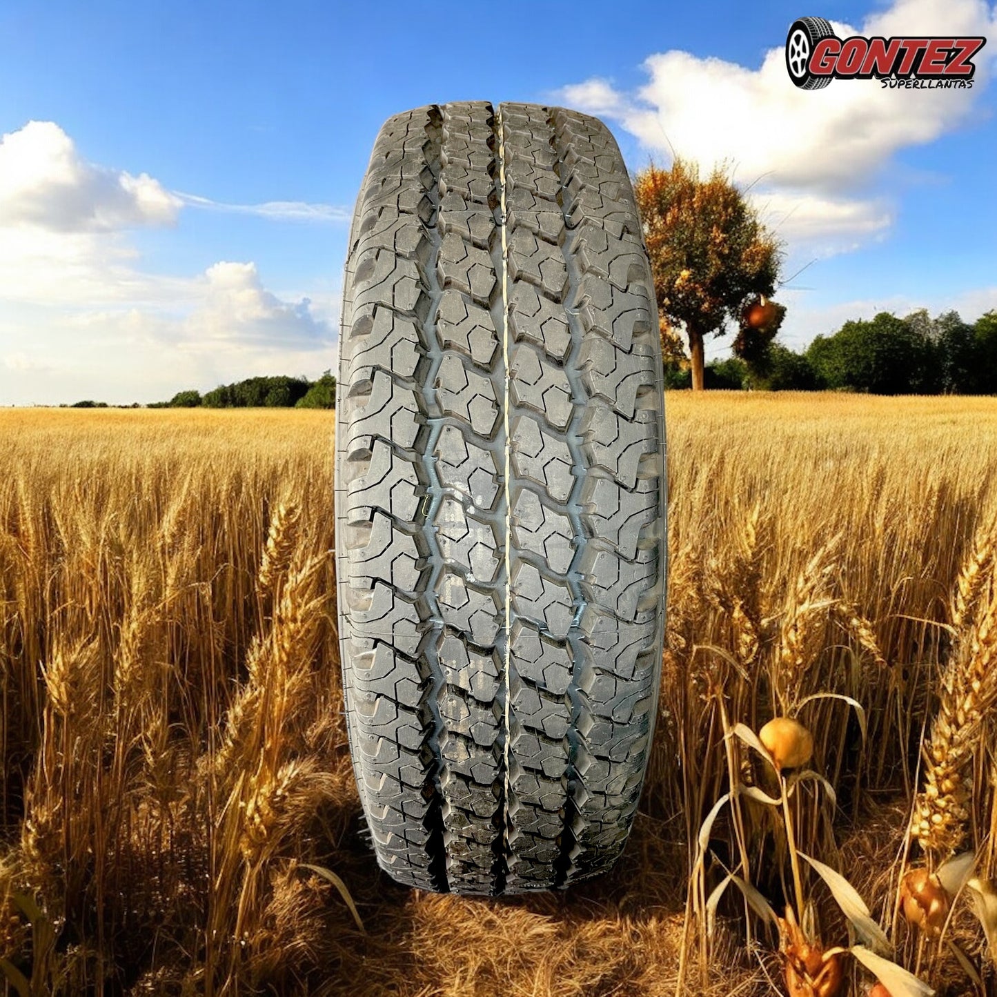 215 75 R14 Bridgestone M773