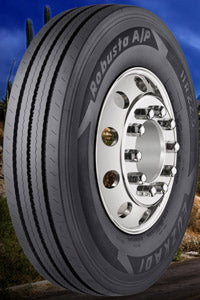 11 R22.5 Euzkadi Robusta AP